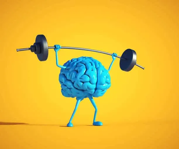 What is a Mental Fitness Gym?